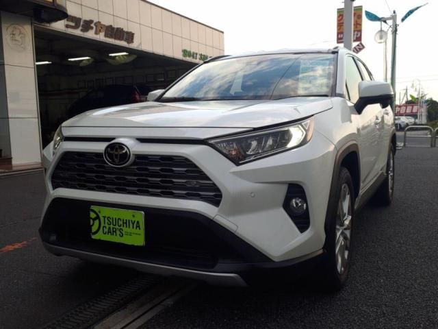 TOYOTA RAV4 4WD 2019