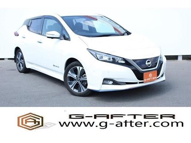 NISSAN LEAF 2020