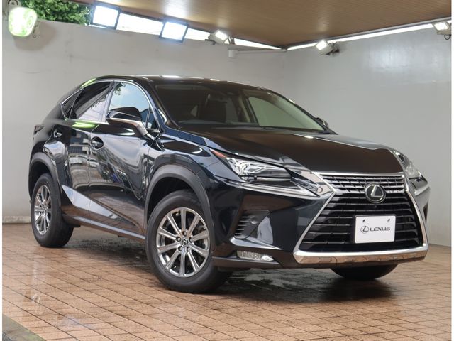 TOYOTA LEXUS NX300 2020