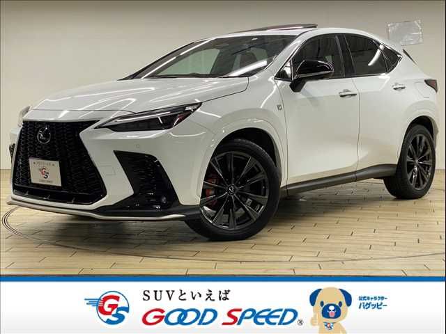 TOYOTA LEXUS NX450h+ AWD 2022