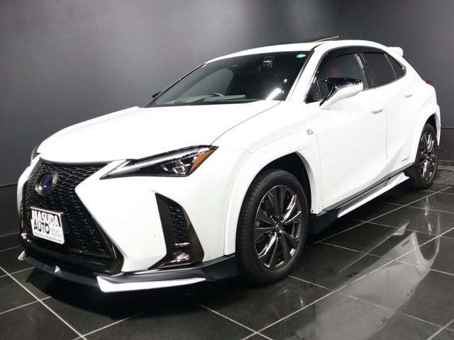 TOYOTA LEXUS UX250h AWD 2021