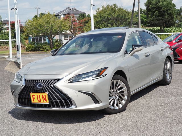 TOYOTA LEXUS ES300h 2021