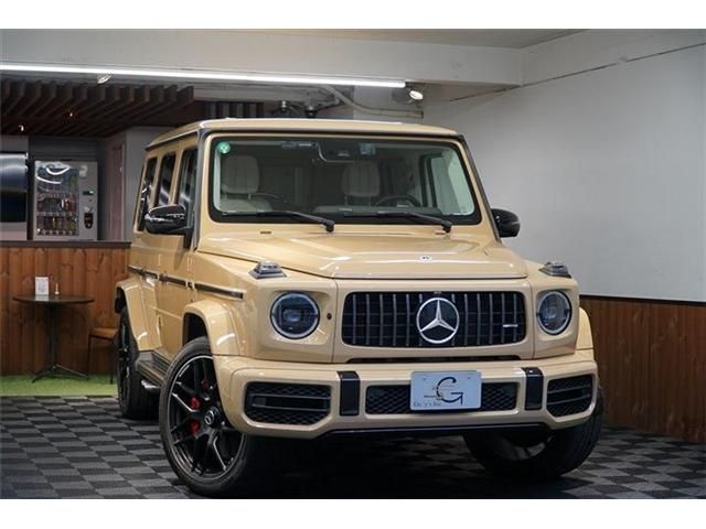 AM General AMG G class 2021