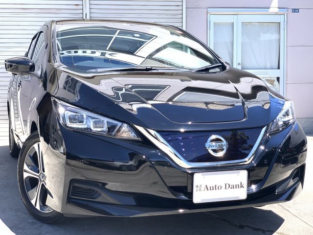 NISSAN LEAF 2019