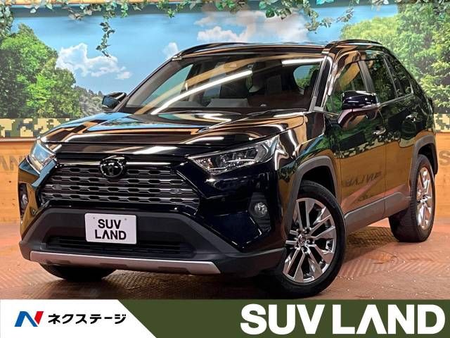 TOYOTA RAV4 4WD 2019