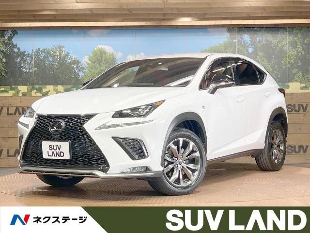 TOYOTA LEXUS NX300 2019