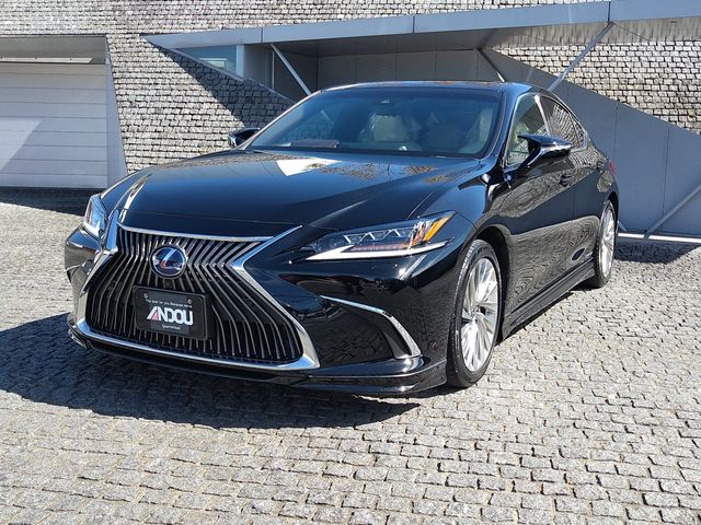 TOYOTA LEXUS ES300h 2020