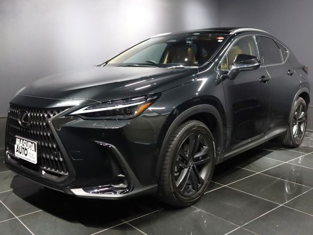 TOYOTA LEXUS NX350h AWD 2023