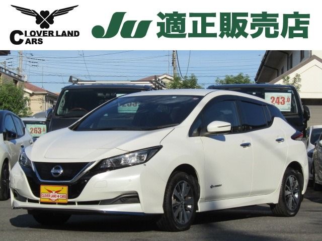 NISSAN LEAF 2019