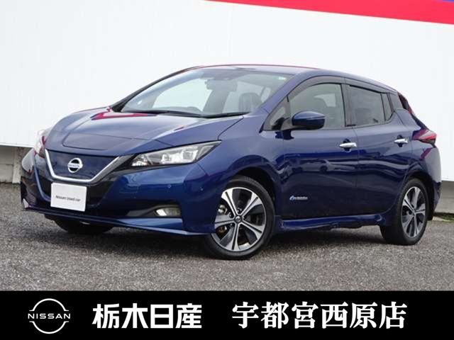 NISSAN LEAF 2020