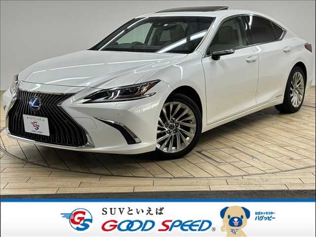 TOYOTA LEXUS ES300h 2019