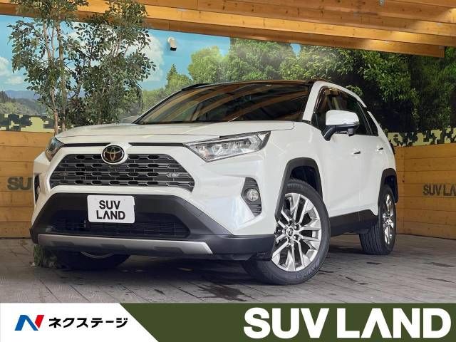 TOYOTA RAV4 4WD 2019