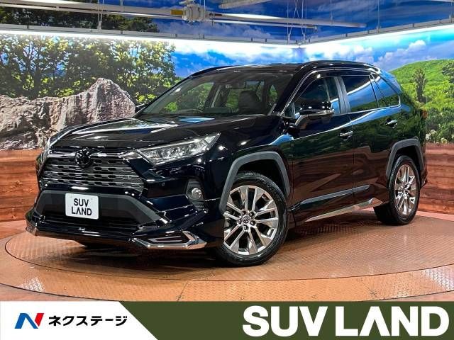 TOYOTA RAV4 4WD 2019