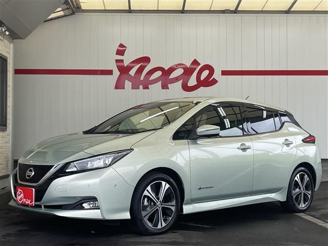 NISSAN LEAF 2017