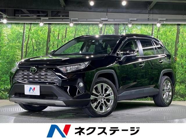 TOYOTA RAV4 4WD 2020