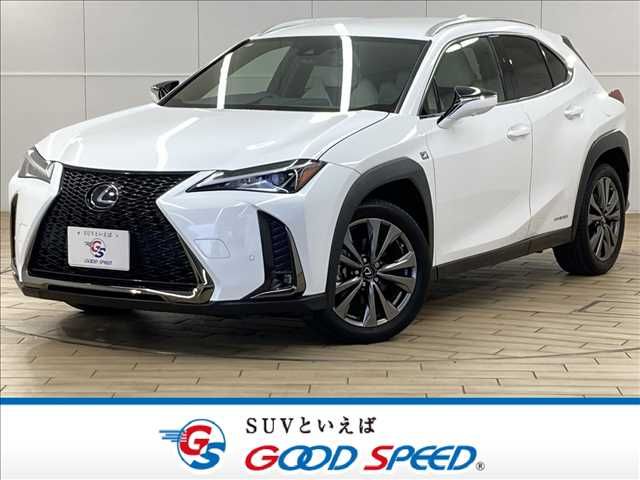 TOYOTA LEXUS UX250h 2019