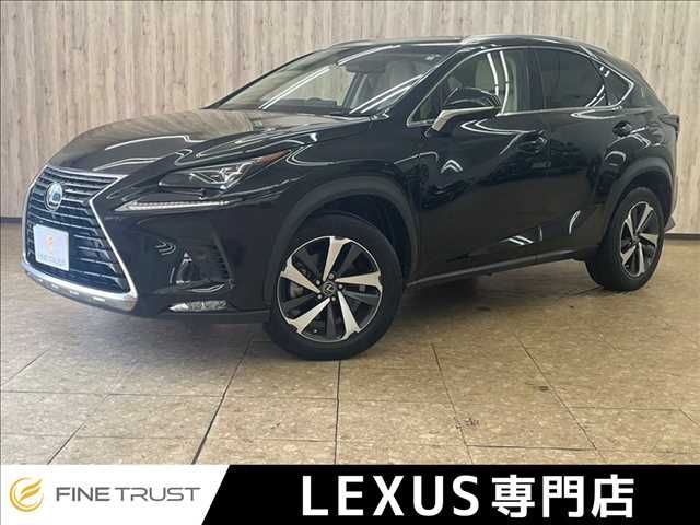 TOYOTA LEXUS NX300 2018