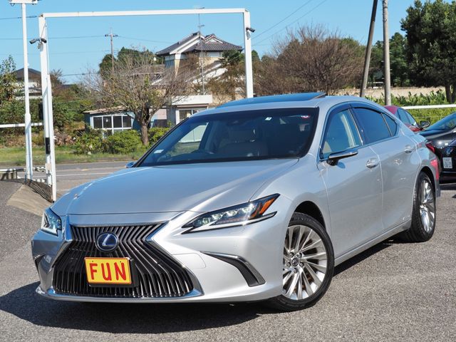 TOYOTA LEXUS ES300h 2019