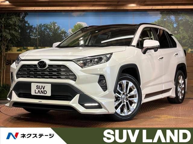 TOYOTA RAV4 4WD 2019