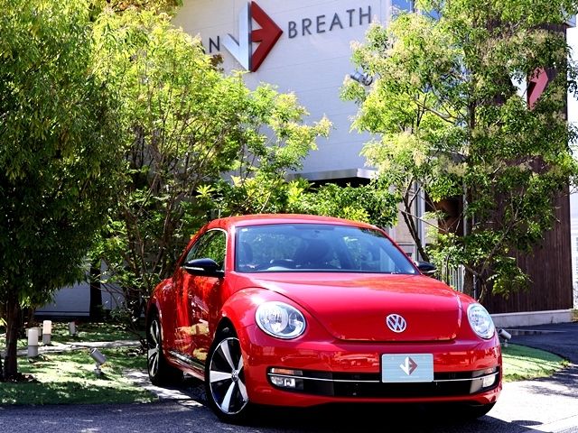 VOLKSWAGEN The BEETLE 2014