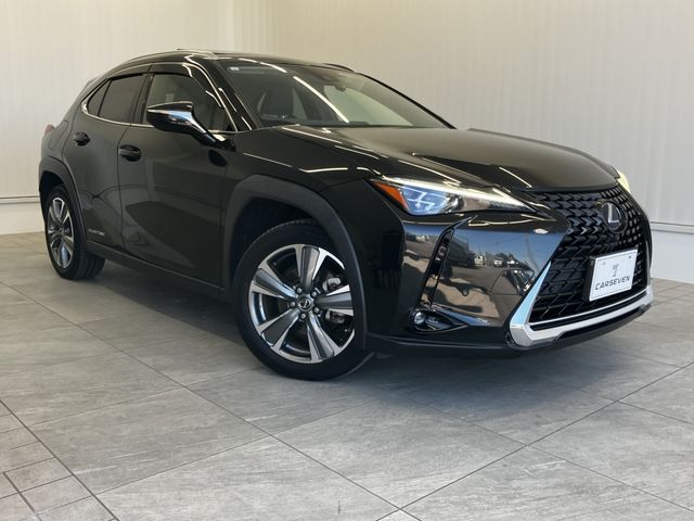 TOYOTA LEXUS UX300e 2021