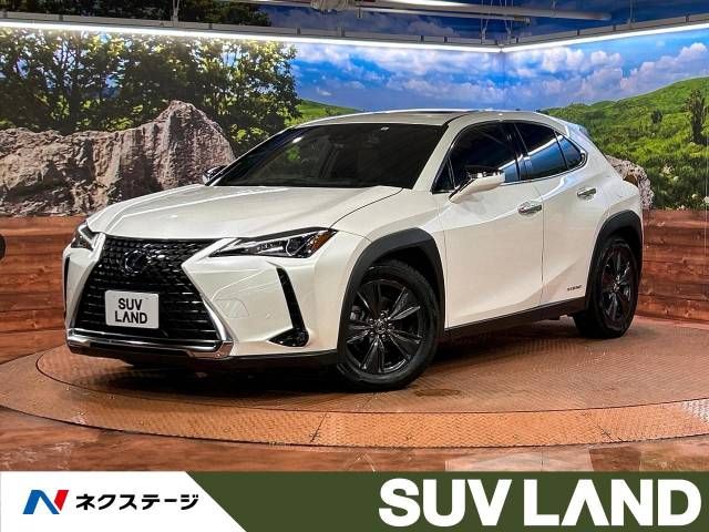 TOYOTA LEXUS UX250h 2019