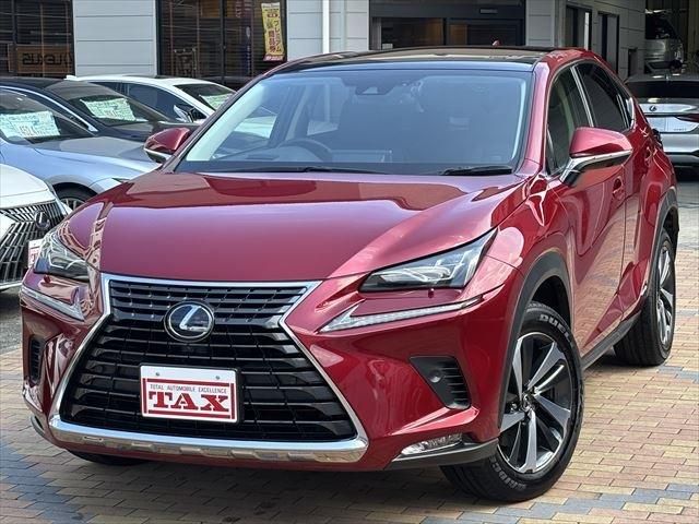 TOYOTA LEXUS NX300h 2019