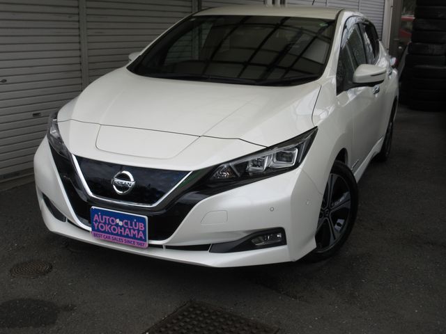 NISSAN LEAF 2019