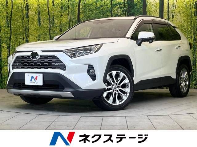 TOYOTA RAV4 4WD 2019