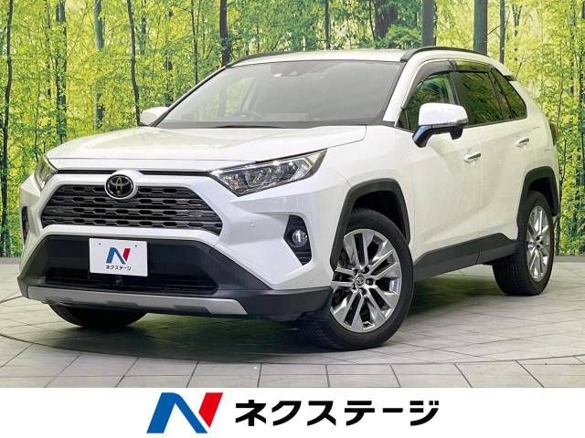 TOYOTA RAV4 4WD 2019