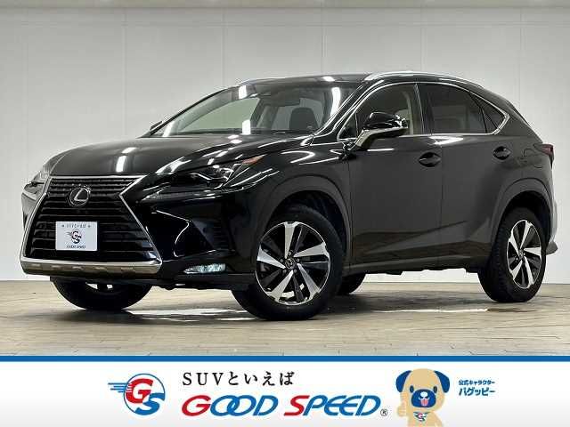 TOYOTA LEXUS NX300 2018