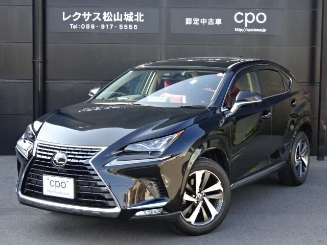 TOYOTA LEXUS NX300 2018