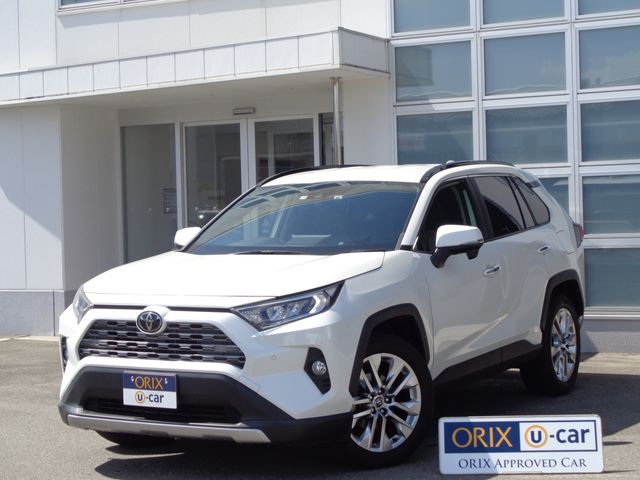 TOYOTA RAV4 4WD 2019