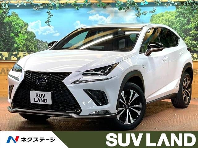 TOYOTA LEXUS NX300h 2020