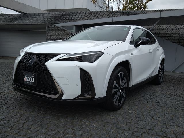 TOYOTA LEXUS UX250h 2022