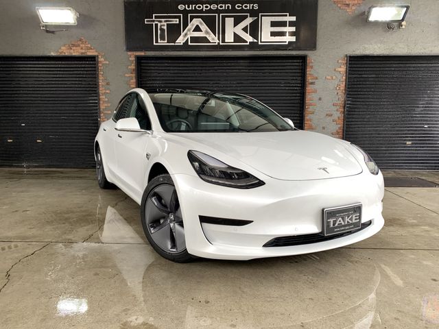 TESLA MODEL 3 2019