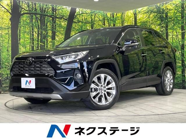 TOYOTA RAV4 4WD 2019