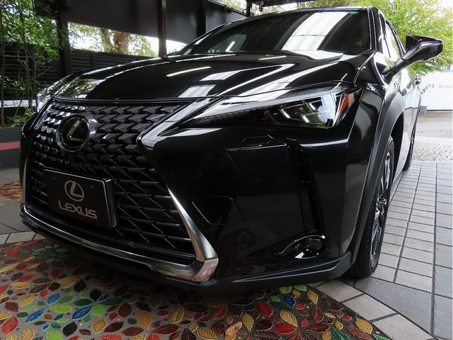 TOYOTA LEXUS UX300h 2024