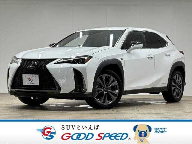 TOYOTA LEXUS UX250h 2021