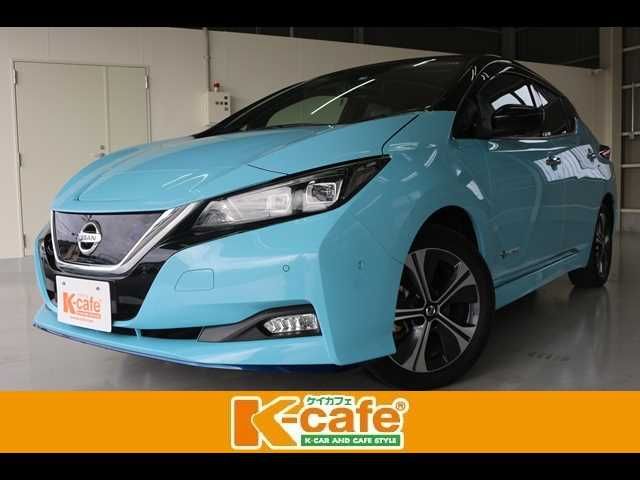 NISSAN LEAF 2019