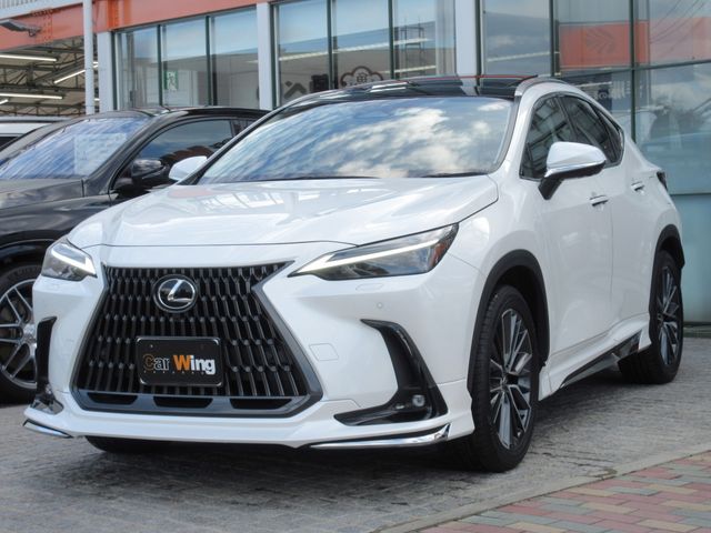 TOYOTA LEXUS NX250 2023