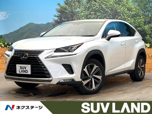 TOYOTA LEXUS NX300 2018