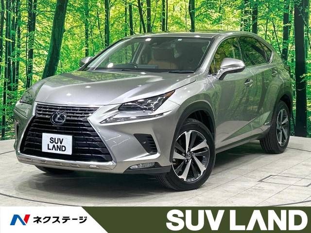 TOYOTA LEXUS NX300h 2019