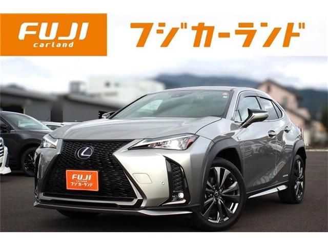 TOYOTA LEXUS UX250h AWD 2021