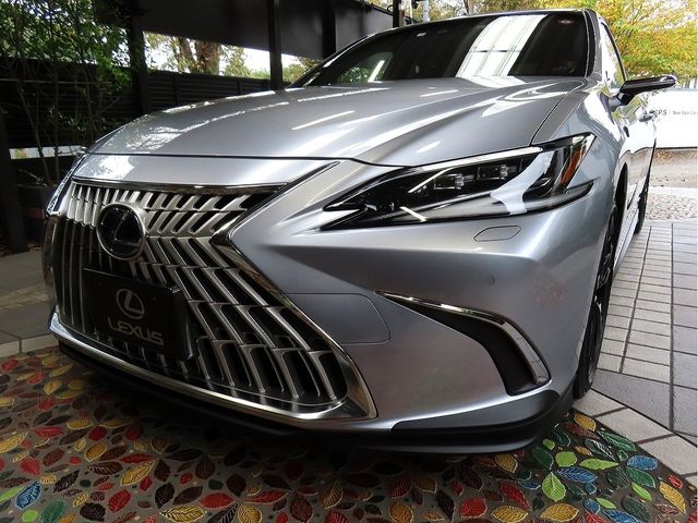 TOYOTA LEXUS ES300h 2021