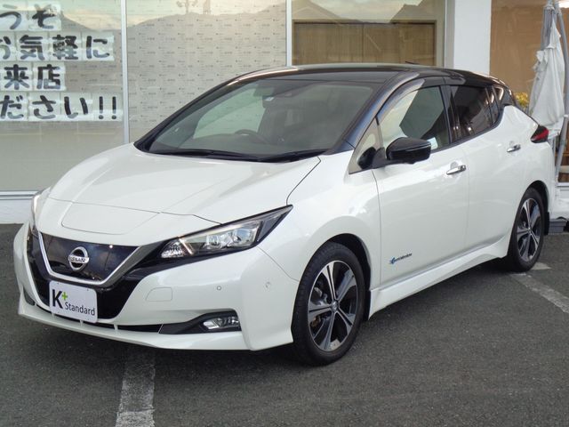 NISSAN LEAF 2018