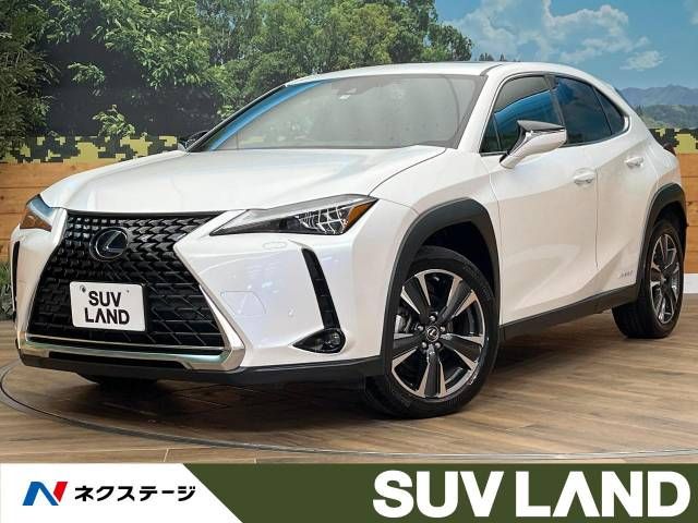 TOYOTA LEXUS UX250h AWD 2021