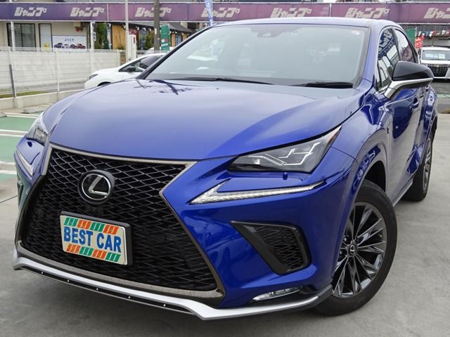 TOYOTA LEXUS NX300 2021