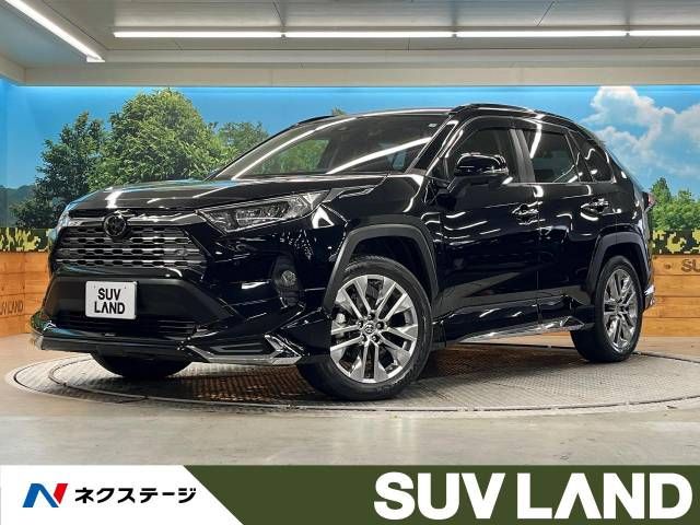 TOYOTA RAV4 4WD 2019