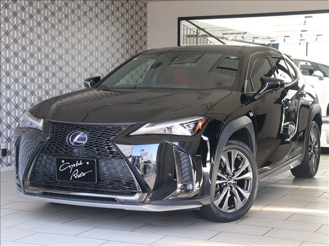 TOYOTA LEXUS UX250h 2019